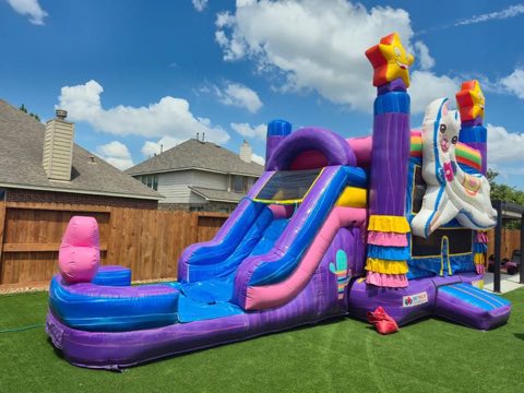 Llama Fiesta Bounce House Combo rental