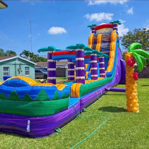 Purple Tropical Waterslide rental