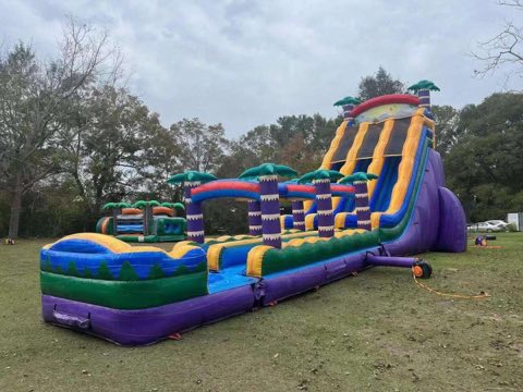 Tropical Purple Waterslide rental